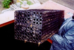 Fouled vertical tube coalescers