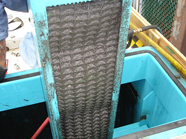 Fouled mesh pack