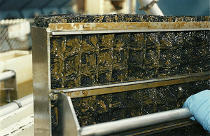 Clogged oil/water separator mesh